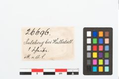 Etikett zu Bronzehelmbesatzscheibe (NHMW-PRAE-026696)